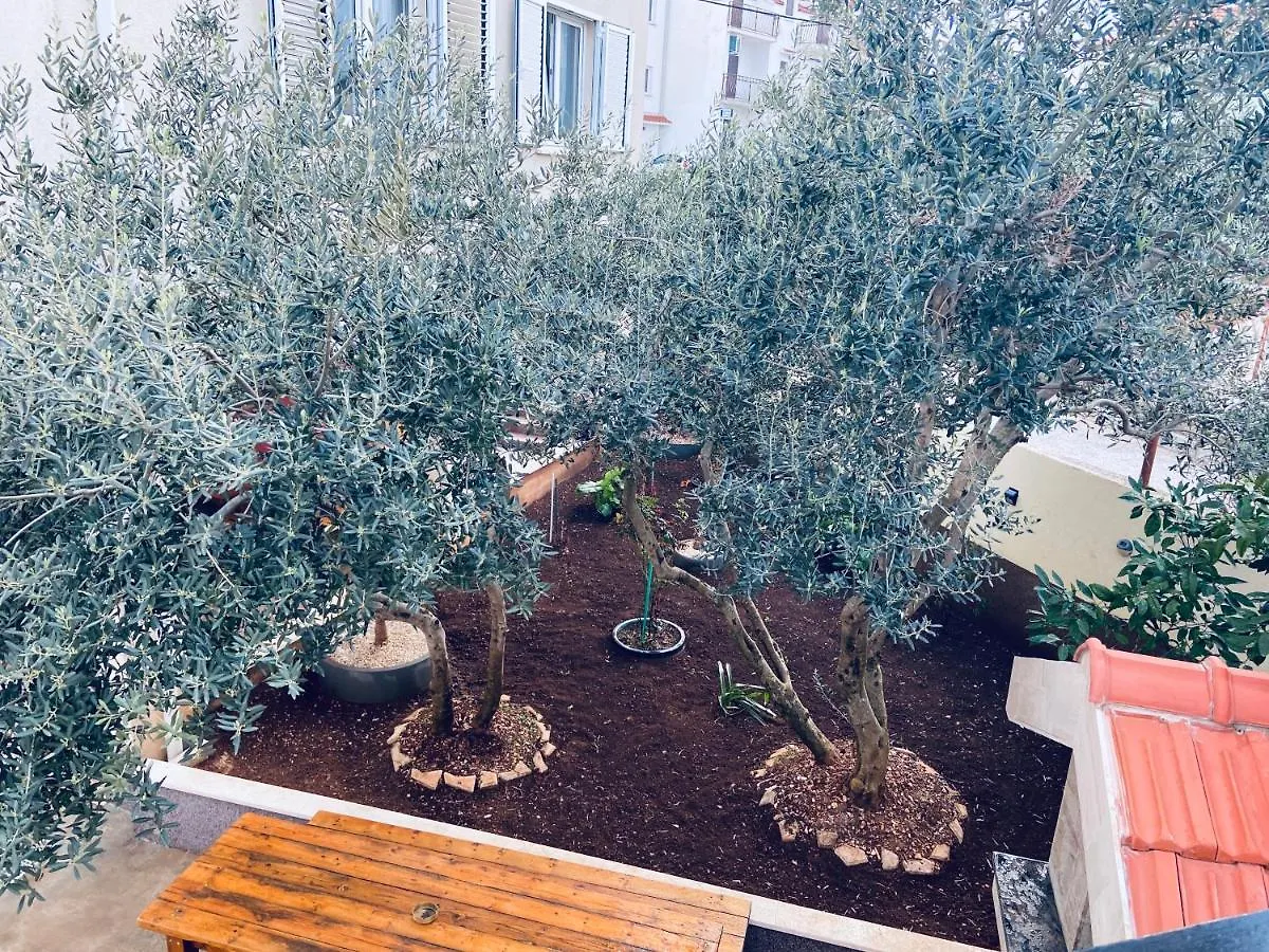 Apartments Gule Slatine
