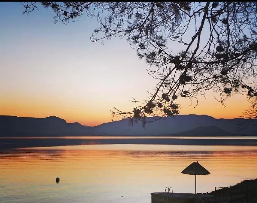 Apartments Gule Slatine Croacia